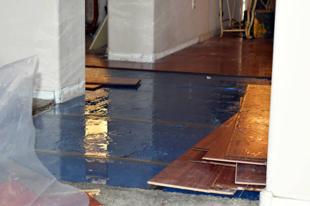 Professional Sewage Cleanup technician working in Highland, IL